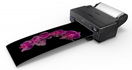 Epson SureColor SC-P800 Rolle