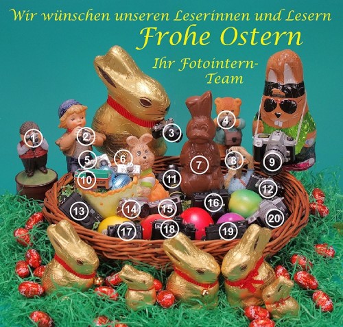 Osterkameranest_2015_Aufloesung