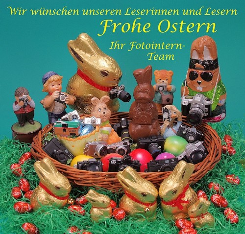 Osterkameranest_2015