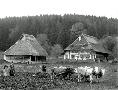 Emil Schaerer_A14 Bauernhaus Bühnenbergstrasse Vogt_750