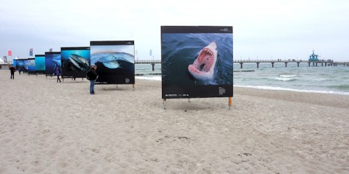 Zingst / Foto: Urs Tillmanns