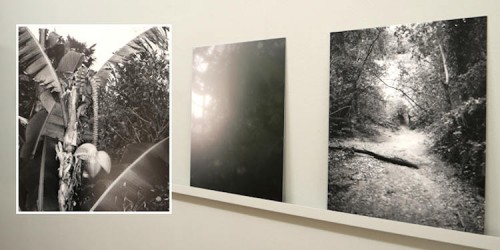 19. Bieler Fotoitage