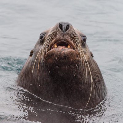 Foto: Peter und Ursula Schäublin