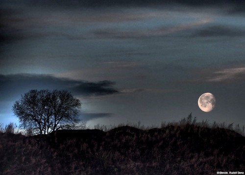 Mondstimmung Rolf Benz 750