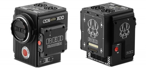 Red Raven brain only vorne-hinten