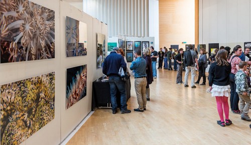 Unterwasserfestival_Ausstellung_01_750