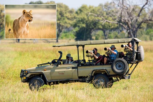 Botswana-Mobile-Safari