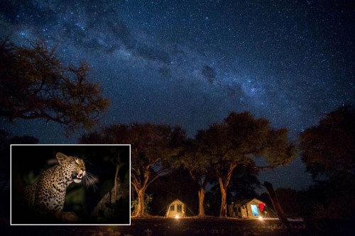 Botswana-Zelt-Camp