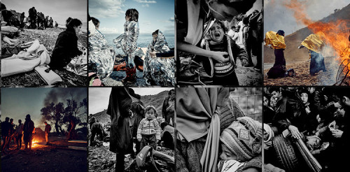 PiX16_Refugees_750