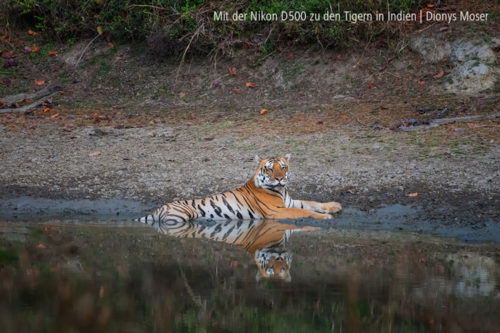 Nikon Dionys Moser 750