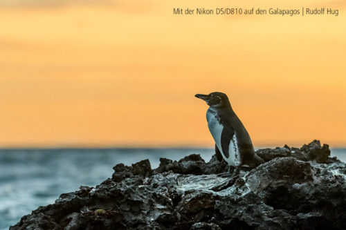 Nikon Rudolf Hug 750