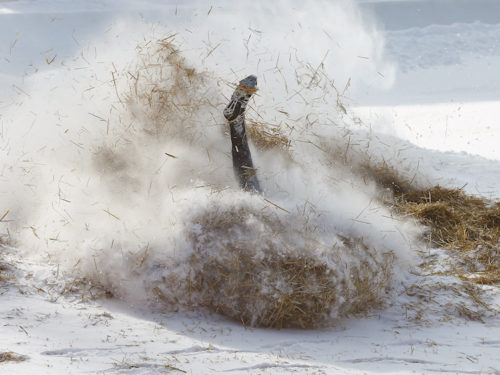 SwissPressPhoto Arnd Wiegmann