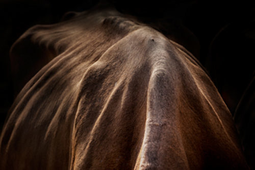 Photobastei Gretener