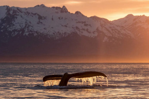 Schaeublin_D500_Suedostasien_02