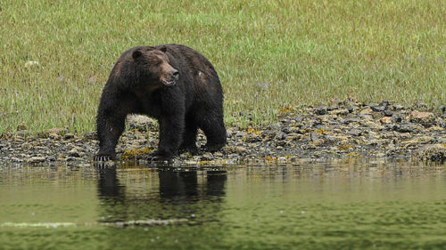 Schaeublin_D500_Suedostasien_05