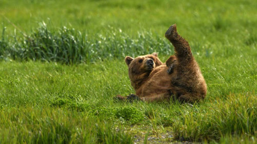 Schaeublin_D500_Suedostasien_06