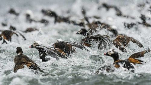 Schaeublin_D500_Suedostasien_07