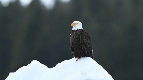 Schaeublin_D500_Suedostasien_08