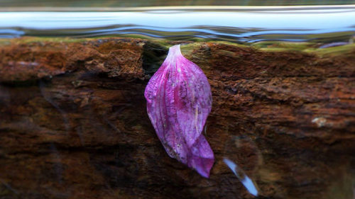 Schaeublin_D500_Suedostasien_13