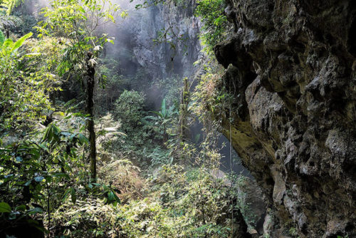 Zihlmann_Vietnam_12_Cave_SonDoong_Entrance-1002_750