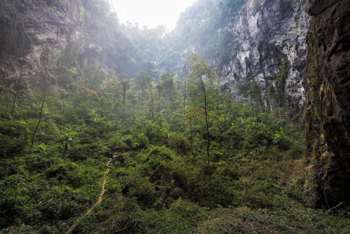 Zihlmann_Vietnam_22_Cave_SonDoong_GardenOfEdam-2033_750