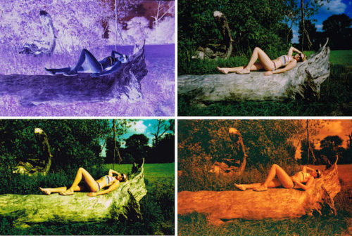 10_Dia_Rollei_Crossbird_kombi_750