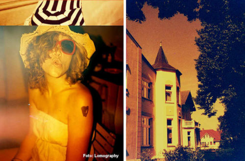 Redscale_Redbird_750