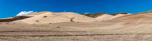 Turtschi D500 Enna 1000