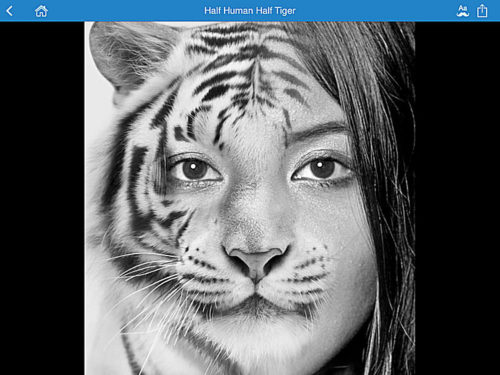 iPhone-App Photo Lab Pro Ziemlich-viel-Tiger_750