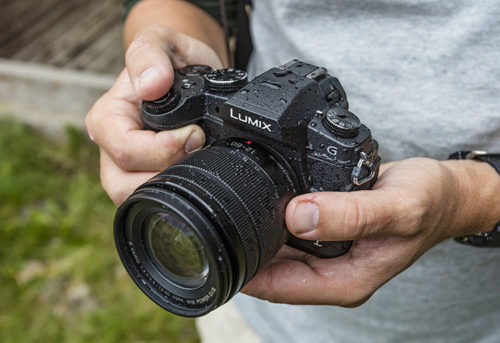 Panasonic Lumix G81 hands