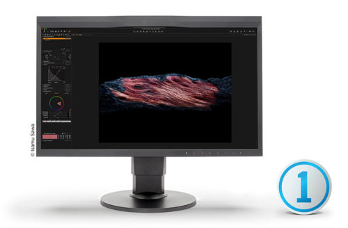 Phase One COP koopperiert mit EIZO