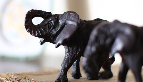 cewe_staeger08_elefanten_750