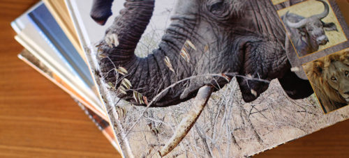 cewe_staeger09_fotobuecher_750