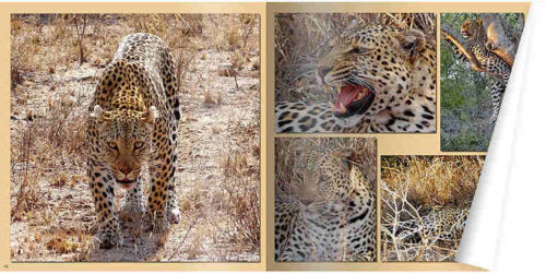 cewe_staeger13_struktur_750