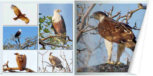 cewe_staeger14_format_750