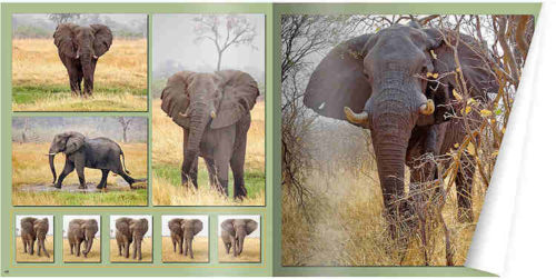 cewe_staeger15_serienbilder_750