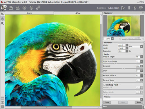 akvis-magnifier-90-screenshot-750