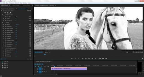 Akvis Sketch Video Classic screenshot-2