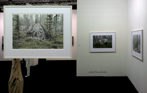 kunst16-peter-braunholz-750