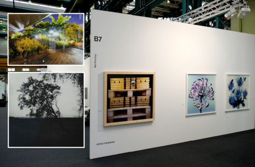 kunst16-wertheimer-750