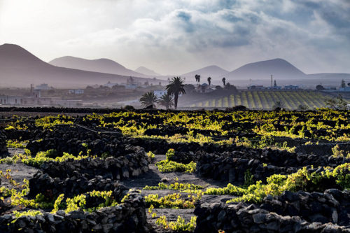 turtschi_lanzarote_2396_750