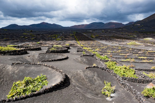 turtschi_lanzarote_3561-750