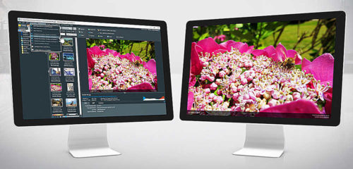 ashampoo_photo_commander_15_monitor_1000