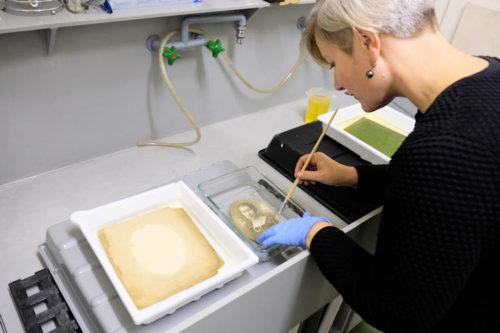 nadine_reding-labor-750