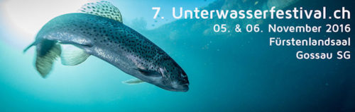 unterwasserfestival-2016-fisch-750