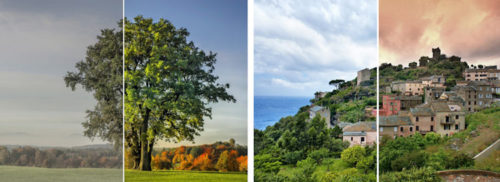 franzis-color_projects5_beisp_750