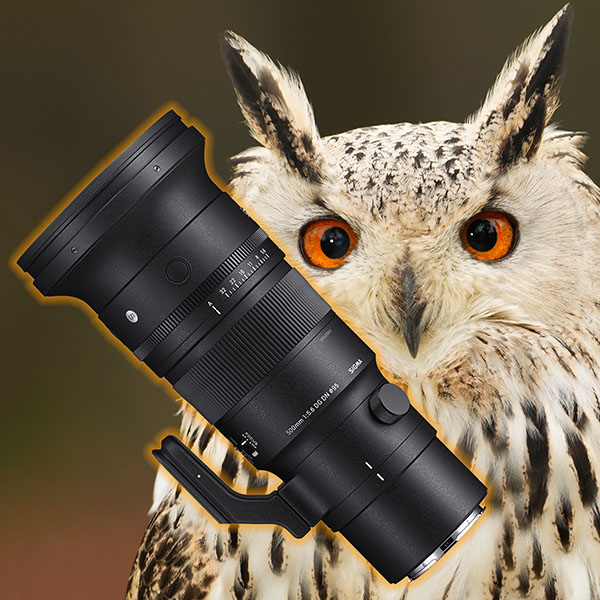 Handliches Sigma 5,6/500mm für Sony und L-Mount-Kameras